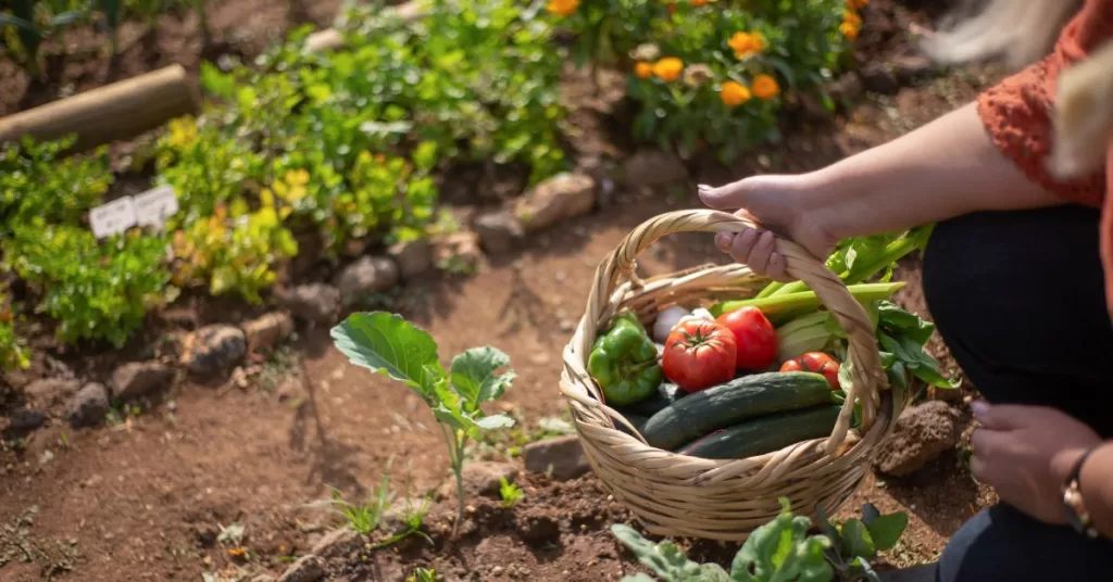 A basket full of vegetables