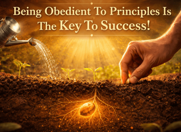 Being obedient to principles is the key to success